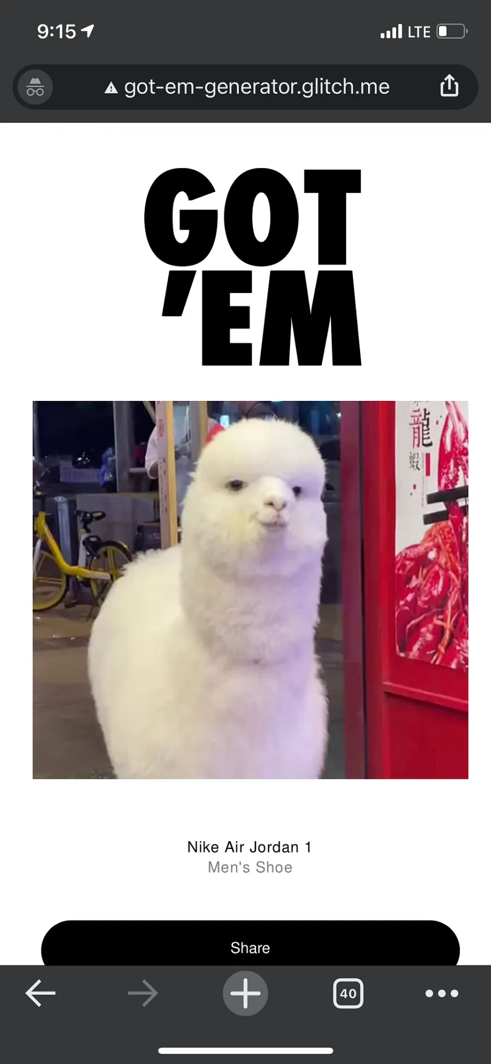 A fluffy white dog in a shop window