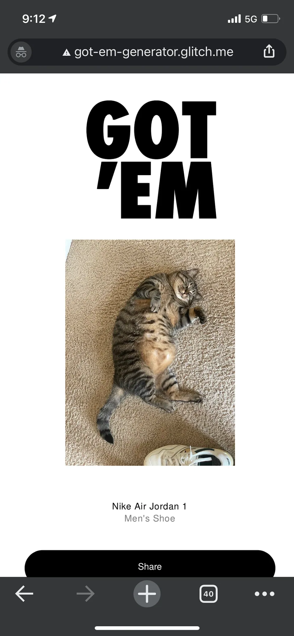 A tabby cat lying on a rug
